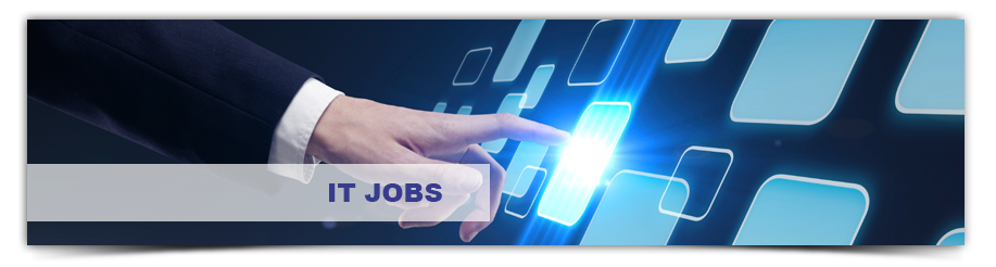 Information Technology Executive Job Listings | Building Industry